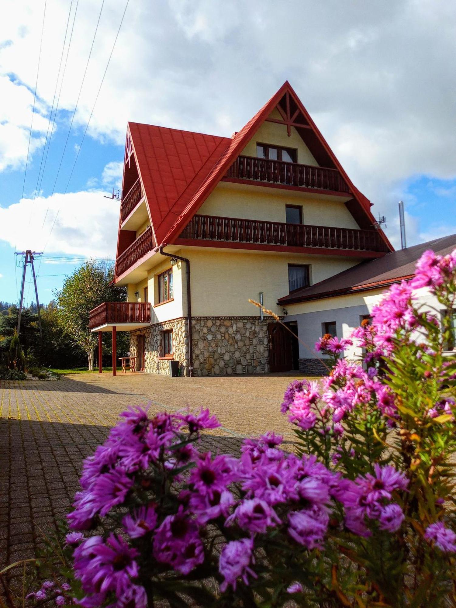 Apartamenty Geiger Witów Buitenkant foto